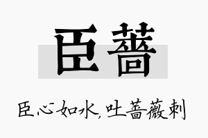 臣蔷名字的寓意及含义