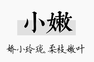 小嫩名字的寓意及含义