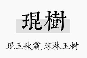 琨树名字的寓意及含义