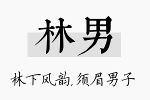 林男名字的寓意及含义