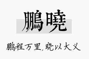 鹏晓名字的寓意及含义