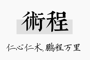 术程名字的寓意及含义