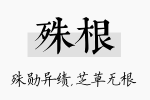 殊根名字的寓意及含义