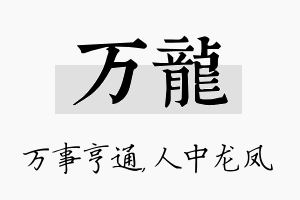 万龙名字的寓意及含义