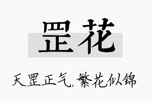 罡花名字的寓意及含义