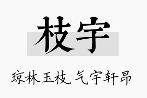 枝宇名字的寓意及含义