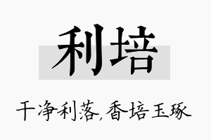 利培名字的寓意及含义