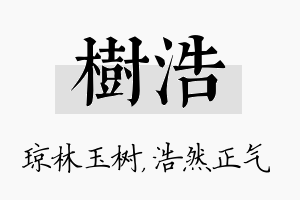 树浩名字的寓意及含义