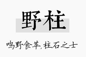 野柱名字的寓意及含义