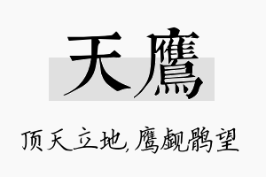 天鹰名字的寓意及含义