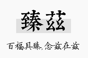 臻兹名字的寓意及含义