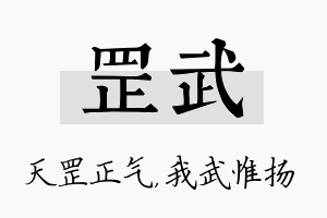 罡武名字的寓意及含义