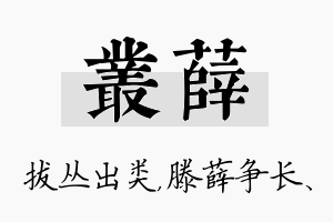 丛薛名字的寓意及含义