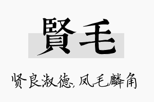 贤毛名字的寓意及含义