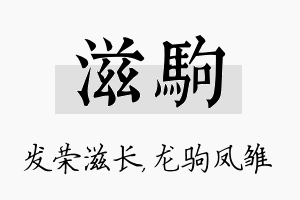 滋驹名字的寓意及含义