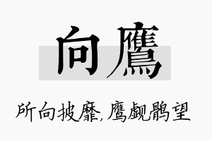 向鹰名字的寓意及含义