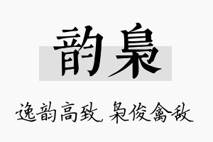 韵枭名字的寓意及含义