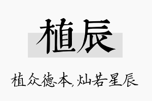 植辰名字的寓意及含义