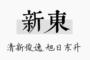 新东名字的寓意及含义