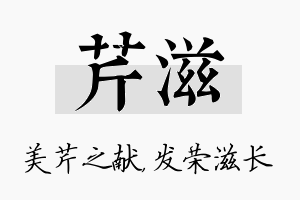 芹滋名字的寓意及含义