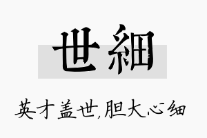 世细名字的寓意及含义