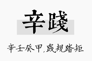 辛践名字的寓意及含义