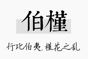 伯槿名字的寓意及含义