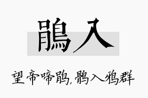 鹃入名字的寓意及含义