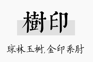 树印名字的寓意及含义