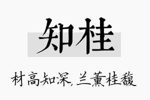 知桂名字的寓意及含义