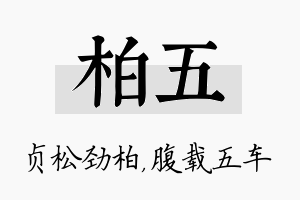 柏五名字的寓意及含义