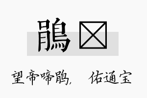 鹃禛名字的寓意及含义