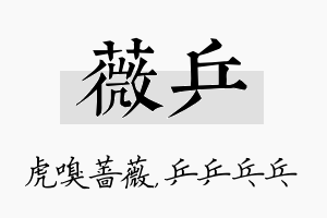 薇乒名字的寓意及含义