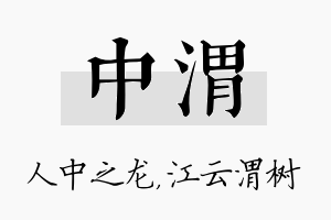 中渭名字的寓意及含义