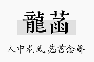 龙菡名字的寓意及含义