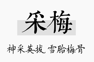 采梅名字的寓意及含义