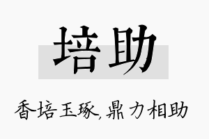 培助名字的寓意及含义