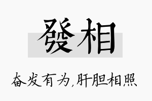 发相名字的寓意及含义