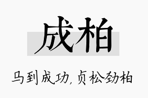 成柏名字的寓意及含义