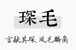 琛毛名字的寓意及含义