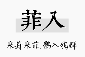 菲入名字的寓意及含义