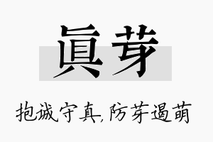 真芽名字的寓意及含义