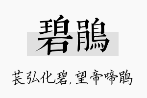 碧鹃名字的寓意及含义