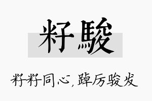 籽骏名字的寓意及含义