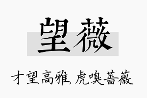 望薇名字的寓意及含义