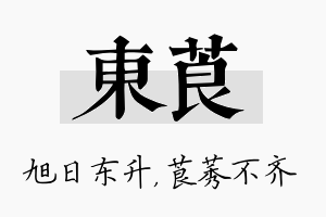 东莨名字的寓意及含义