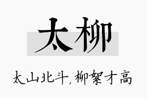 太柳名字的寓意及含义