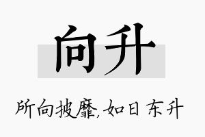 向升名字的寓意及含义