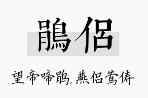 鹃侣名字的寓意及含义