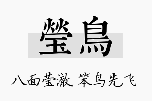 莹鸟名字的寓意及含义